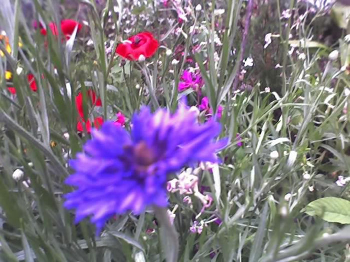 28-06-13_1127