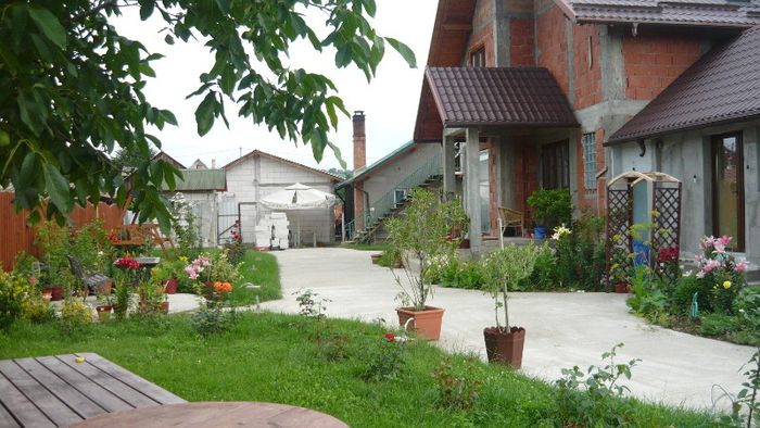 Picture 4412 - Mirajul verii