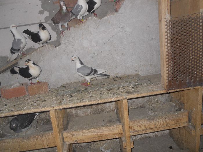 iunie 2013 011 - 1731 Doru Hulea