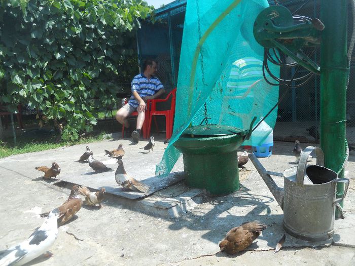 iunie 2013 496 - 1847 Mihai Bocsa