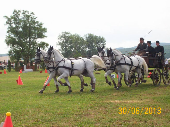 concurs hipic Beclean 30.06.2013 034