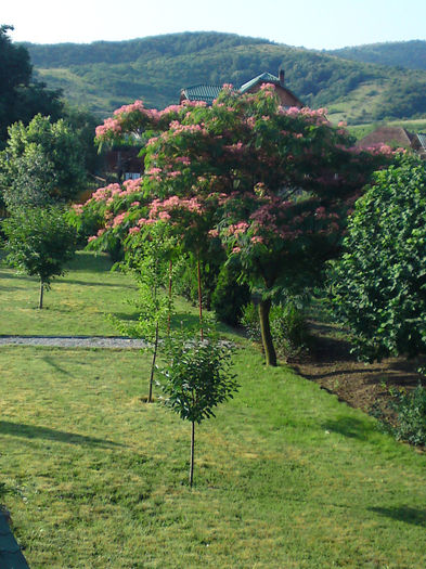 012 - Pozele anului 2013