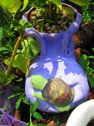 noua ghetutza; cumparata de la turda
