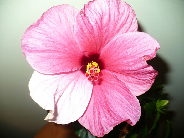 P1450494