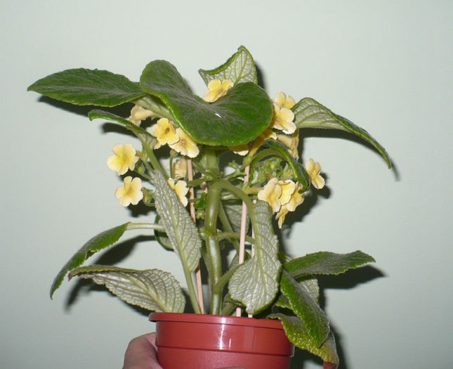 P1450543