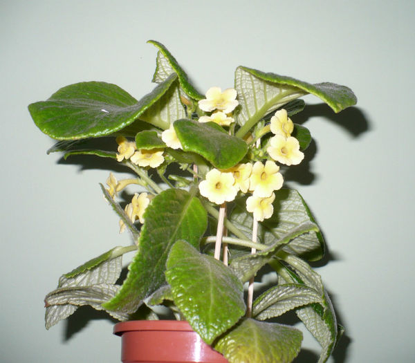P1450544
