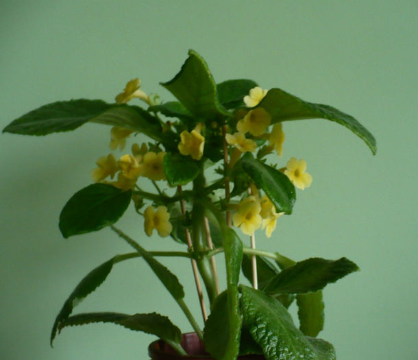 P1450547