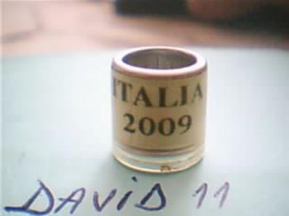 Italia-2009 - Inele 2014