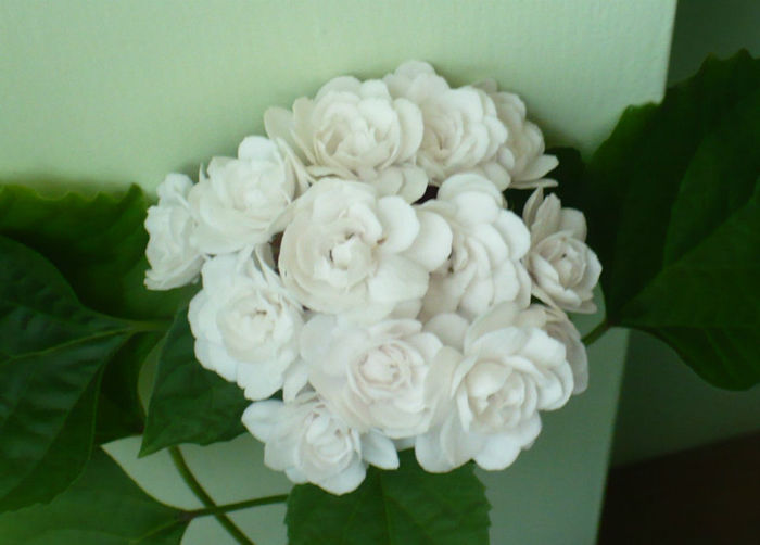 P1450568