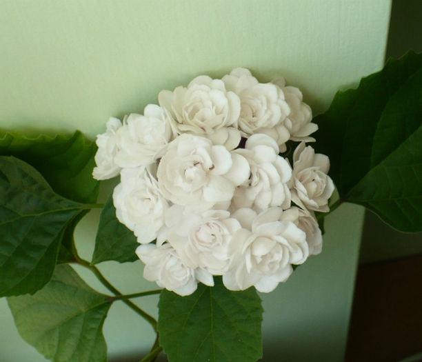 P1450577