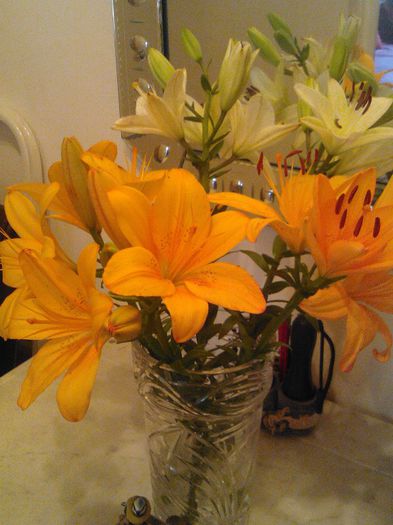 Crini neparfumati dar foarte colorati - Flori splendide in vaza 2013 2014