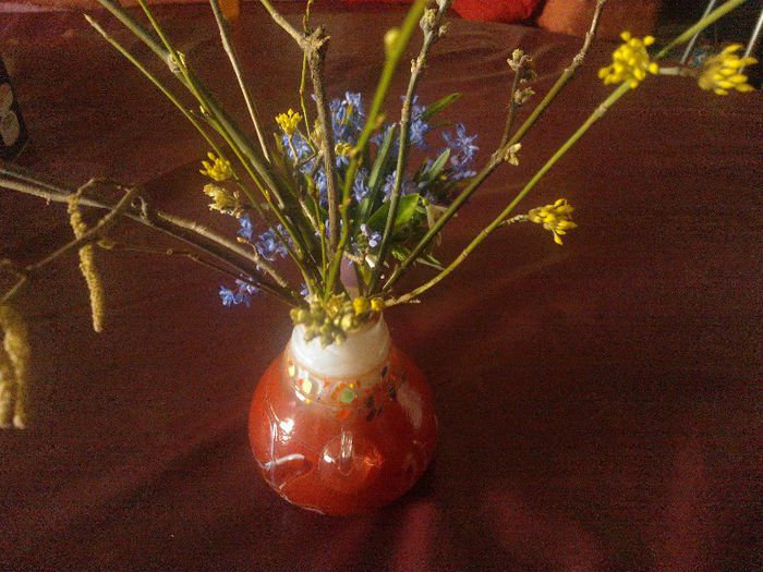 Ramurele inflorite si viorele de padure - Flori splendide in vaza 2013 2014