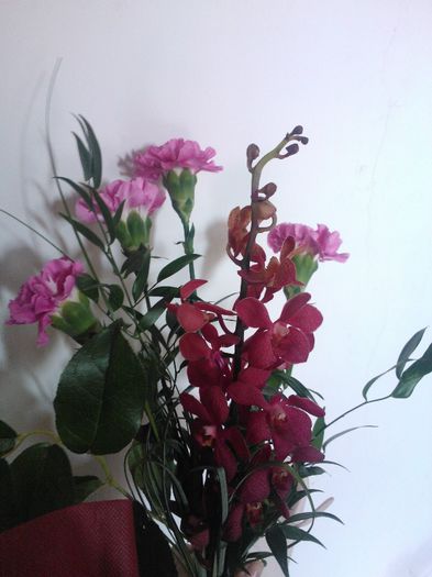 Garoafe si orhidee - Flori splendide in vaza 2013 2014