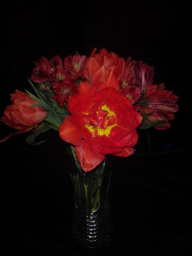 Lalele batute si Astromelia - Flori splendide in vaza 2013 2014