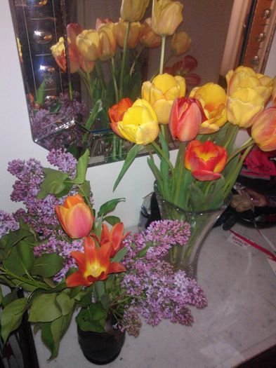 Liliac si Lalele - Flori splendide in vaza 2013 2014
