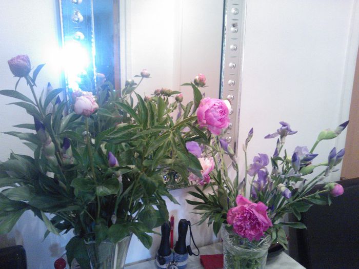 Bujori si Irisi Imperiali - Flori splendide in vaza 2013 2014