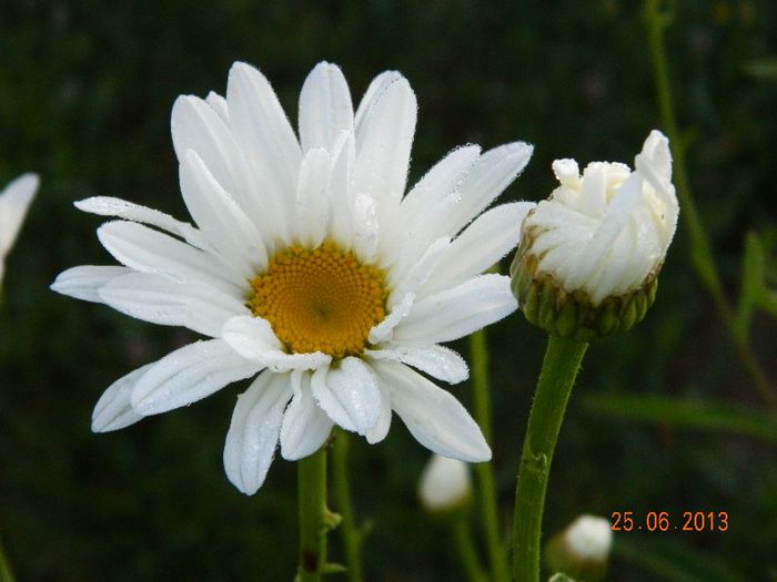 056