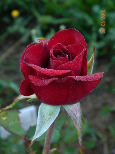 052
