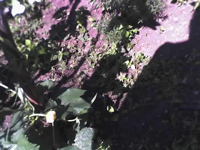 02-07-13_lufa
