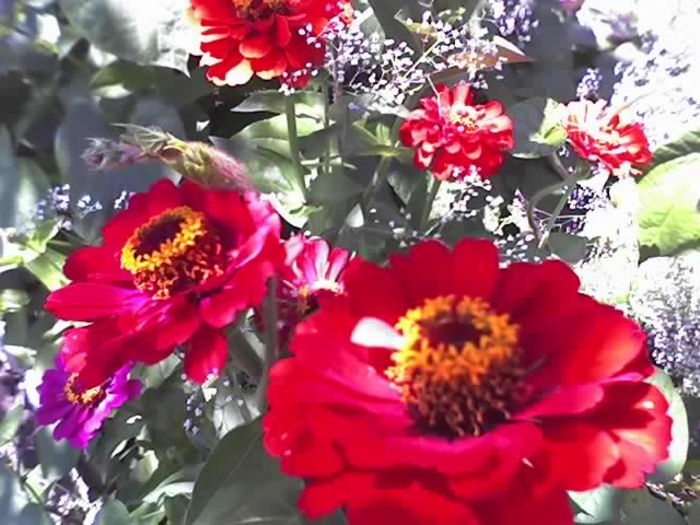 02-07-13_1224