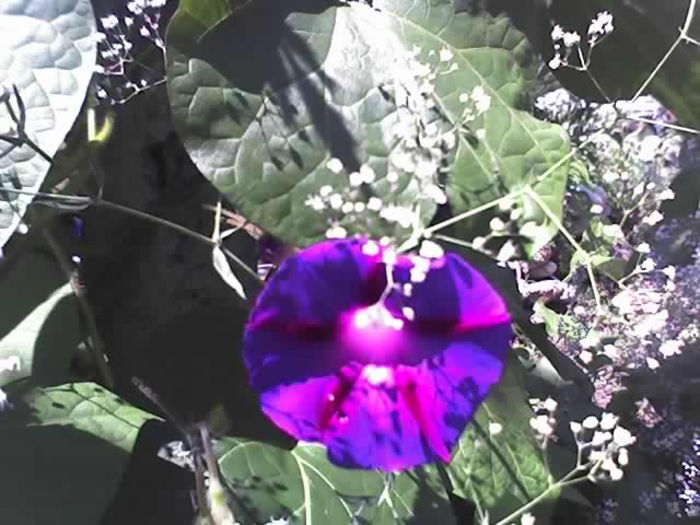 02-07-13_1225