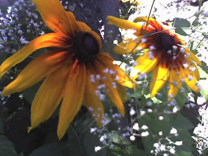02-07-13_1231