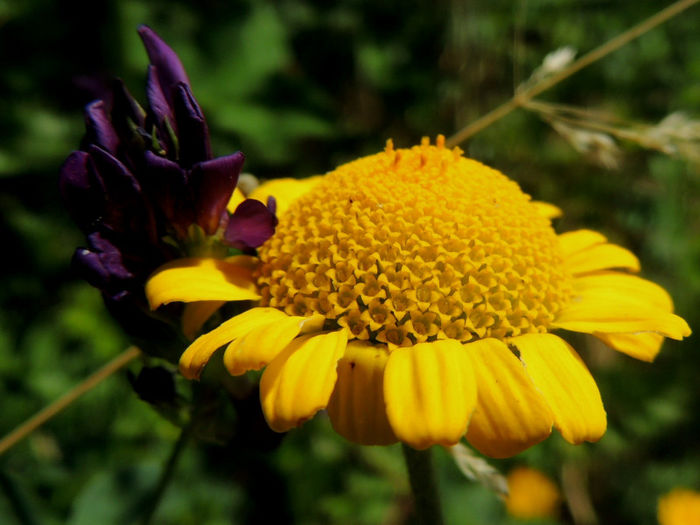 RSCN0745