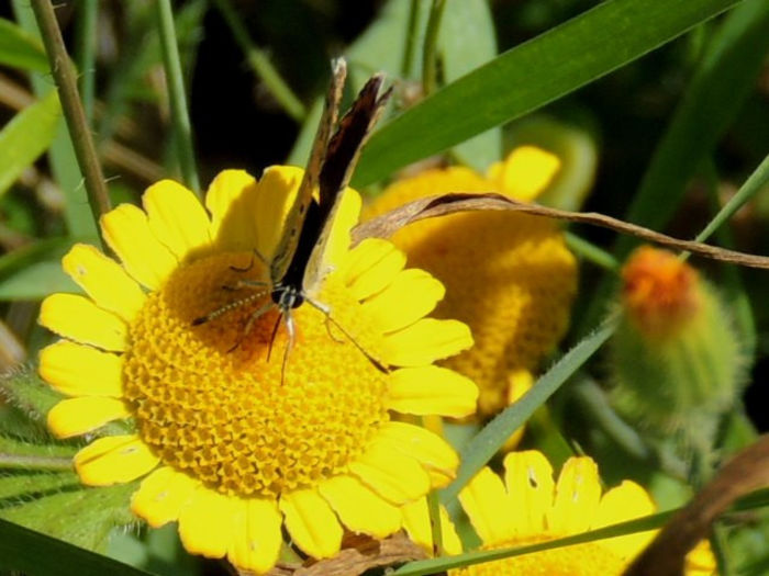 RSCN0820