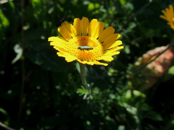 RSCN0845