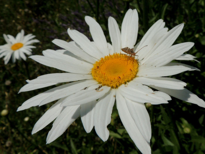 RSCN0848