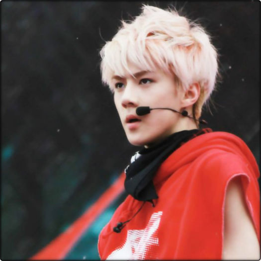 ▬ ▬ ▬ ▬ ▬ ▬ ▬ ▬ ▬ ▬ ▬ ▬