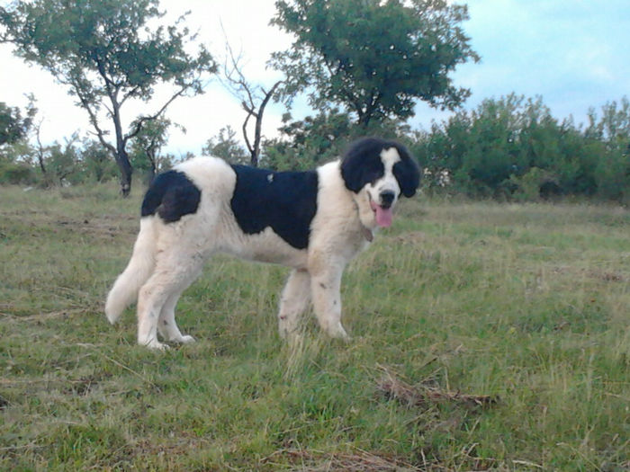 2013-07-03 20.28.17 - Molda