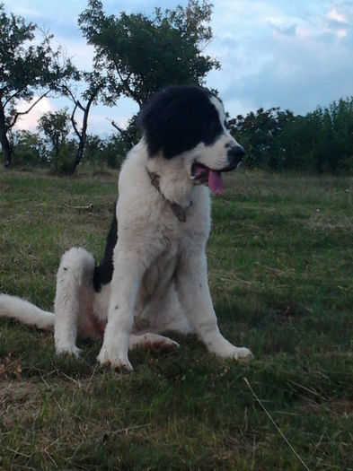 2013-07-03 20.29.07 - Molda