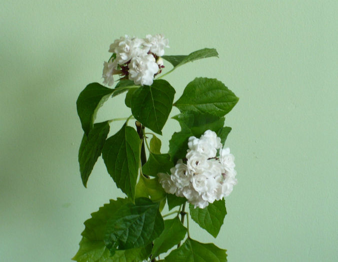 P1450655