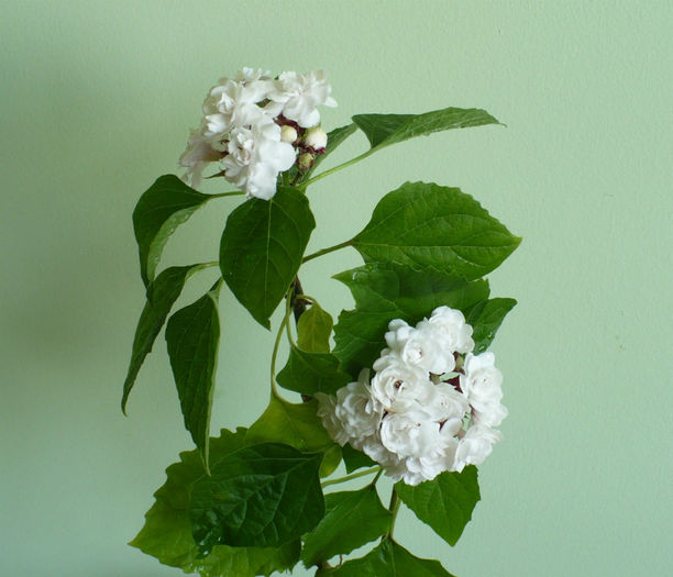 P1450656
