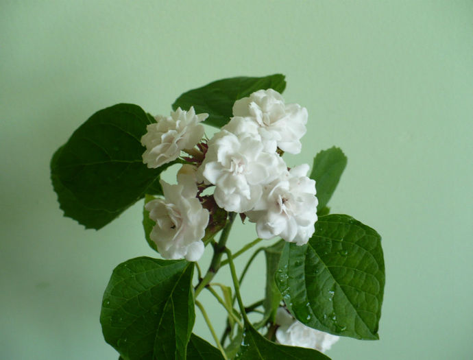 P1450658