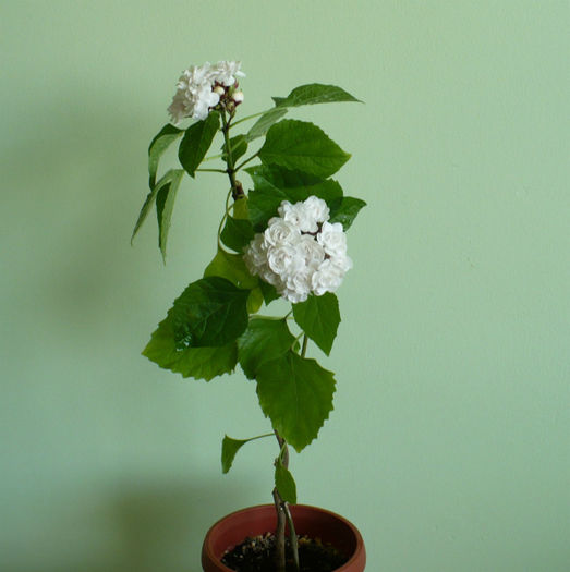 P1450665