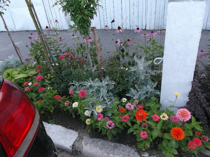 DSCF5118