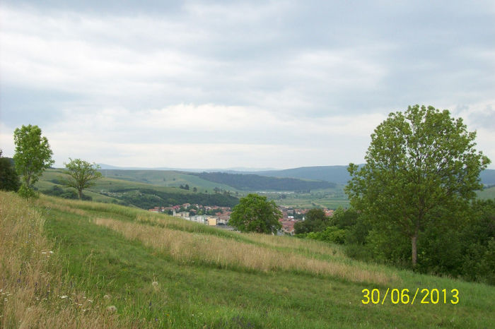 100_8813 - CETATEA TARANEASCA DIN RUPEA BRASOV