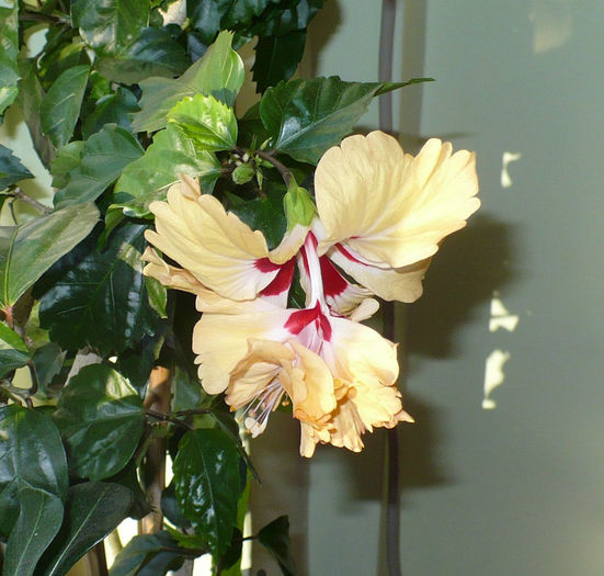 P1450730
