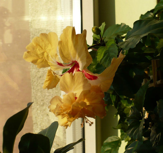 P1450746