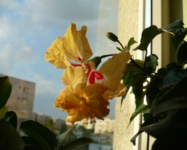 P1450750