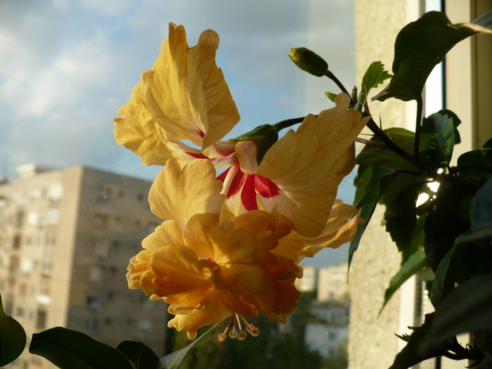 P1450752