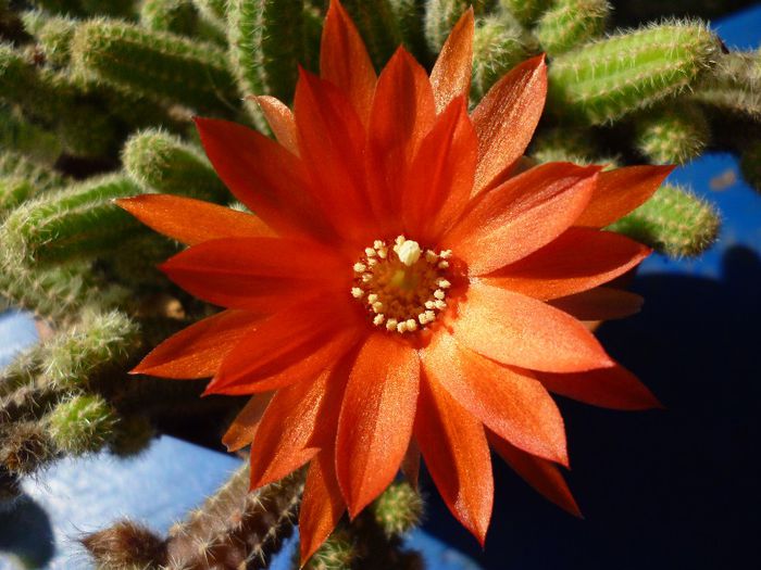 P1020241