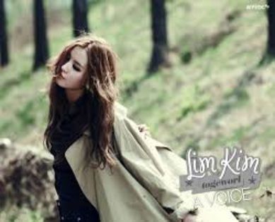 images (4) - Lim Kim