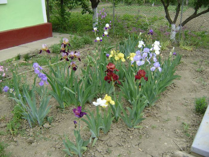 DSC09452