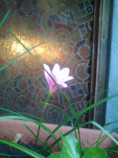 Fotografie2383 - Copy - Copy