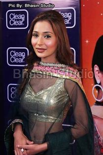 8 - sara khan24