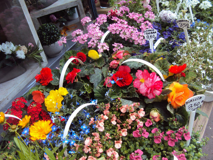 DSC07154 - Paris- Marche aux Fleurs