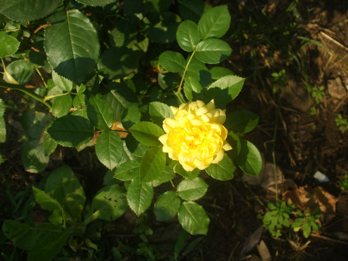 Anny Duperey - vara 2013